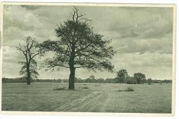 CARTOLINA - ROMA - DINTORNI - CAMPAGNA ROMANA   - VIAGGIATA NEL 1912 - Panoramische Zichten, Meerdere Zichten