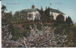 Blankenburg Im Harz Schloss 1909 - Blankenburg