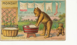 Teddy Bear Embossed Monday  Washing Day Our Peluche Gaufrée Lundi Lessive - Ours