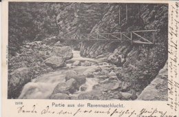 Höllental Partie Aus Der Ravennaschlucht 1905 - Höllental