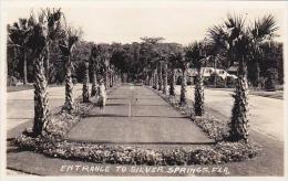 Florida Silver Springs Entrance Real Photo RPPC - Silver Springs