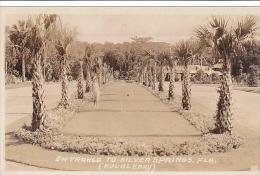 Florida Silver Springs Entrance Real Photo RPPC - Silver Springs