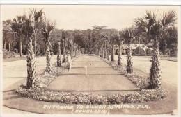 Florida Silver Springs Entrance 1940 Real Photo RPPC - Silver Springs