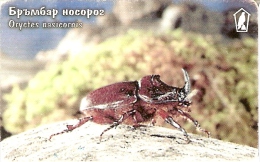 TARJETA DE BULGARIA DE UN ESCARABAJO  (INSECTO-INSECT) (rozada) - Autres & Non Classés