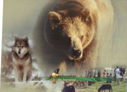 (915) Bear Ans Wolf - Ours Et Loup - Bears