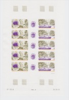 TAAF PA 117A TRIPTYQUE  (FEUILLE DE 5) LUXE - Unused Stamps