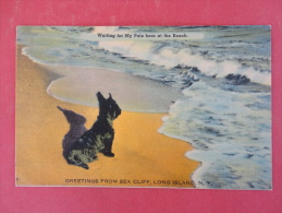 New York > Long Island  Sea Cliff  -- Dog Waiting For His Pals At Beach  Not Mailed   Ref 1000 - Long Island