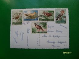1960 Cartolina X SVIZZERA Affrancatura L. 14 Uccelli N.5 Differenti - Cartas & Documentos