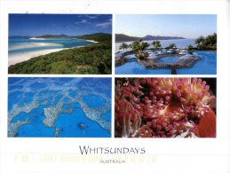 (546) Australia - QLD - Whitsundays Island - Mackay / Whitsundays