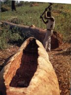 (681) Malawi - Man Carving A Canoe - Malawi