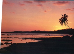 (681) Fiji Sunset - Fiji