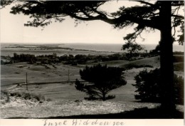 AK Foto Hiddensee, Ung - Hiddensee