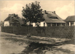 AK Ahrenshoop, Auf Dem Weg Zum Hohen Ufer, Ung, 1962 - Fischland/Darss