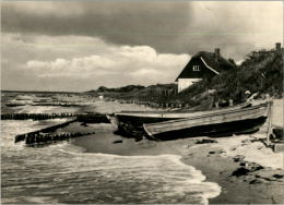 AK Ahrenshoop, Ung, 1954 - Fischland/Darss