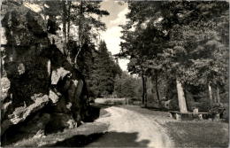 AK Waldnaabtal Sauerbrunnen, Gel 1958 (Leiningen) - Neustadt Waldnaab