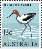 Australia 1966 13c Red-Necked Avocet MNH - Mint Stamps