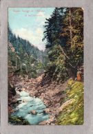 40393     Svizzera,  Gryon -  Gorges  De  L"Avancon Et  Les  Diablerets,  VG  1914 - Gryon