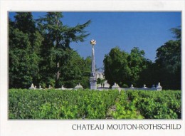 CPM  Pauillac Chateau Mouton Rotchild - Pauillac