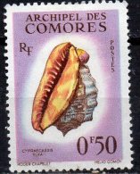 COMOROS 1962 Sea Shells - 50c Bull-mouth Helmet MH - Used Stamps