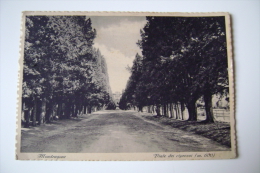 FRASCATI   NOBILE COLLEGIO   MONDRAGONE      ROMA LAZIO  VIAGGIATA  COME DA FOTO IMMAGINE OPACA - Enseñanza, Escuelas Y Universidades