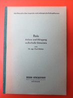 Dr. Agr. Paul Kürten "Reis Anbau Und Düngung Außerhalb Ostasiens", Ruhr-Stickstoff Buch - Otros & Sin Clasificación