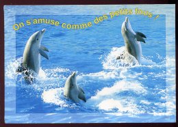 CPM Faune DAUPHINS On S'amuse Comme Des Petits Fous - Delphine