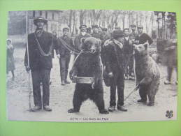 CPA Reproduction Cecodi - Les Ours Du Pays - Ours