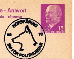 POLIZEI-HUNDE NORRKÖPING Schweden 1970 Auf DDR P74 A Antwort-Postkarte ZUDRUCK BÖTTNER #1 - Polizei - Gendarmerie