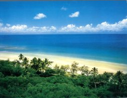 (309) Australia - QLD - Cape Tribulation - Far North Queensland