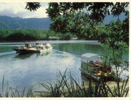 (309) Australia - QLD - Cape Tribulation Daintree River Ferry - Far North Queensland