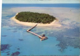 (309) Australia - QLD - Green Island - Great Barrier Reef