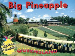 (565) Australia - QLD - Sunshine Plantation - Big Pineapple - Sugar Cane Little Train - Sunshine Coast