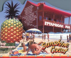 (565) Australia - QLD -  Big Pineapple - Ettamogah Pub - Sexy Ladieson The Beach (die Cut Shaped) - Sunshine Coast