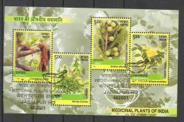 INDIA, 2003,FIRST DAY CANCELLED, MS, Medicinal Plants Of India, , Miniature Sheet, - Oblitérés