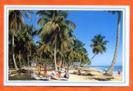 Playa El Cacao  -  Cacao Beach  -  Las Terrenas Samana - Dominican Republic