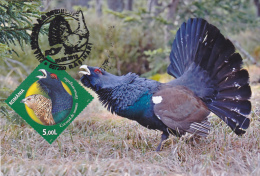 CAPERCAILLIE,2012 CM,MAXICARD,CARTES MAXIMUM ROMANIA - Gallinacées & Faisans