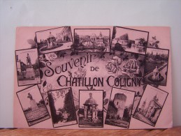 CHATILLON-COLIGNY (LOIRET) CARTE MULTI-VUES. - Chatillon Coligny