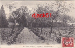 33 - BLANQUEFORT - Domaine De CURGAN - 1908 - Blanquefort