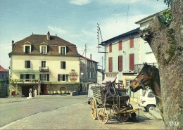 Delcampe - 46 - SOUSCEYRAC / AUBERGE PRUNET Et COMMERCES - Sousceyrac