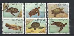 Cuba 1983 -  Turtles, Set Of 6  Y&T 2462-67  Mi. 2766-71  Used, Oblitéré, Gest. - Turtles