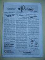 Gio 1 - Giornale Di Petralia Sottana “Il Petrino” - First Editions