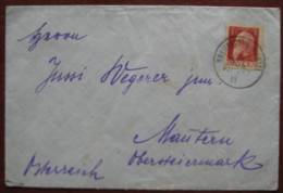 10 Pf. Prinzregent  Mit OT Breitenbrunn A Chiemsee 1911 - Storia Postale