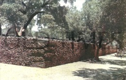 PORTUGAL - ALENTEJO - AGRICULTURE - PILHA DE CORTIÇA - 50S PC. - Autres & Non Classés