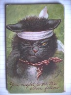 Poezen Chats Humanisé Katzen Dressed Cats Arthur Thiele - Thiele, Arthur