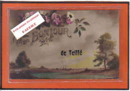 Carte Postale 72. Teillé Trés Beau Plan - Vibraye