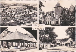 82. Gf. Souvenir De CAYLUS. 4 Vues - Caylus