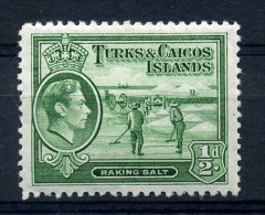 TURKS  AND  CAICOS  ISLANDS   1938    1/2d  Green    MH - Turks & Caicos