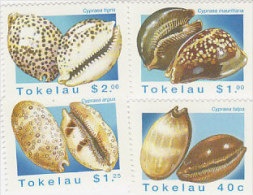 Tokelau-1996 Shells 232-235 MNH - Tokelau