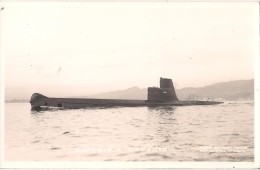 CPA PEU COMMUNE SOUS MARIN DAUPHIN PHOTO MARIUS BAR - Submarines