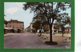 82  NEGREPELISSE - LA PLACE NATIONALE Magasins Vente De Vélos ,Boucherie Cpsm Grd Format Année1976 - Negrepelisse